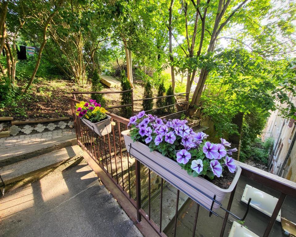 Excellent Apartments In Spa City Center 5 Min Walk From The Colonnade Karlovy Vary Exterior foto